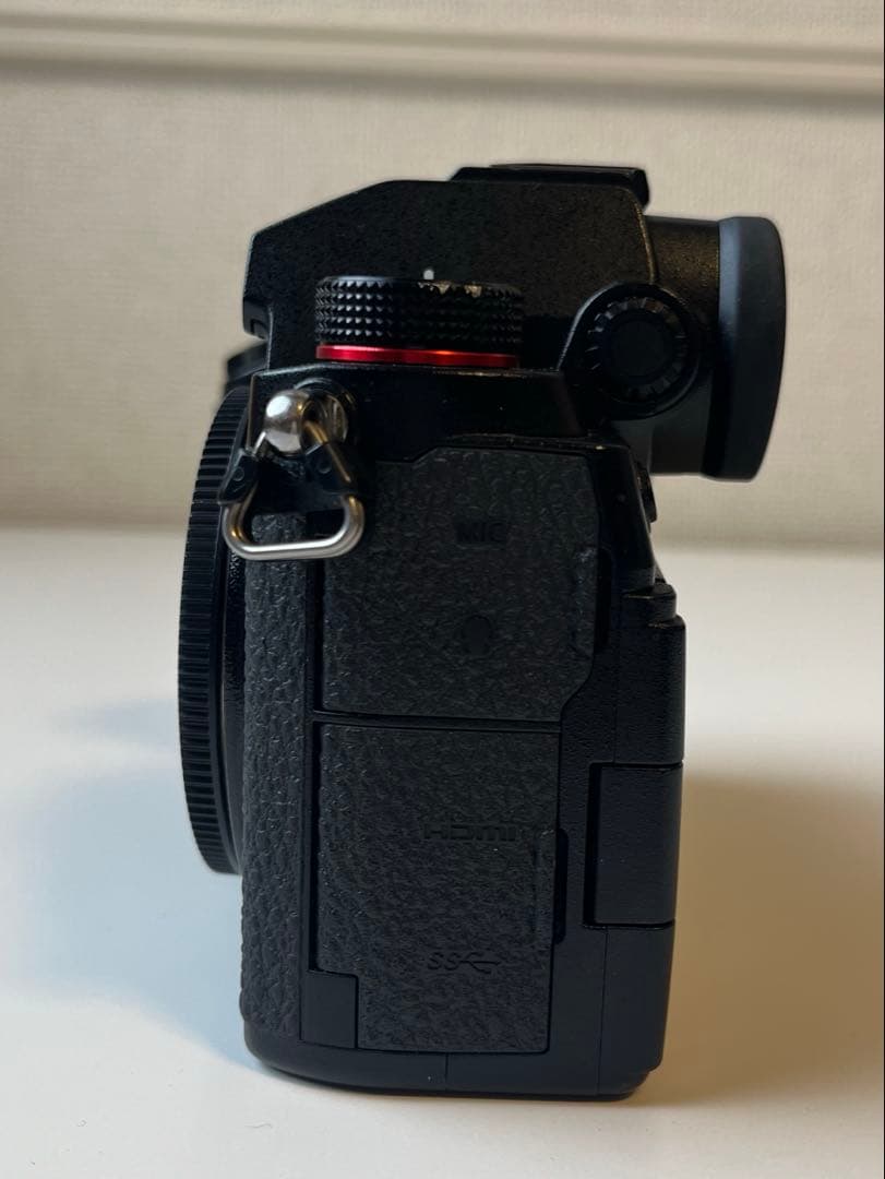 Lumix S5 ボディ【シャッター回数16453回】