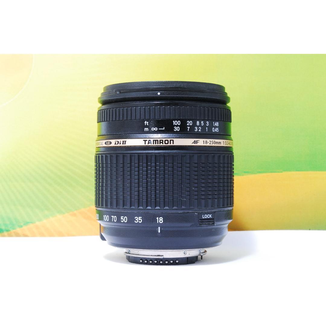 万能レンズ✨TAMRON AF 18-250mm f3.5-6.3 Nikon