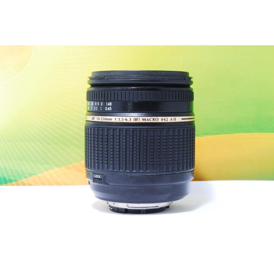 万能レンズ✨TAMRON AF 18-250mm f3.5-6.3 Nikon