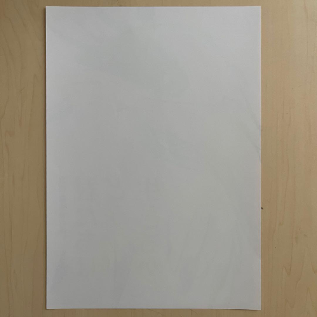 関係者配布品] 「君たちはどう生きるか」b5版 チラシ - メルカリ