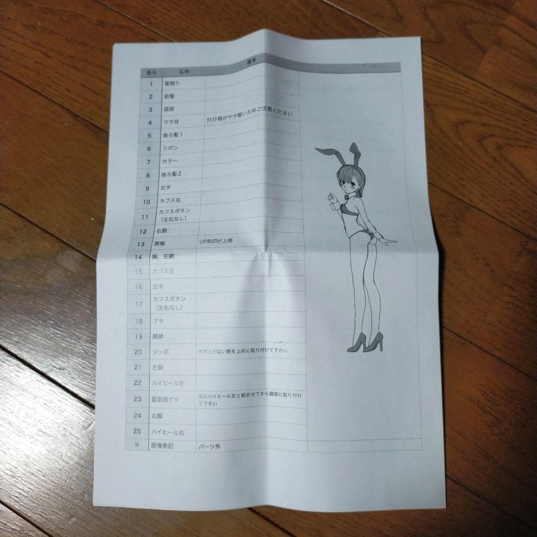 御坂美琴　水着バニーver ガレージキット　レジンキャストキット　フィギュア