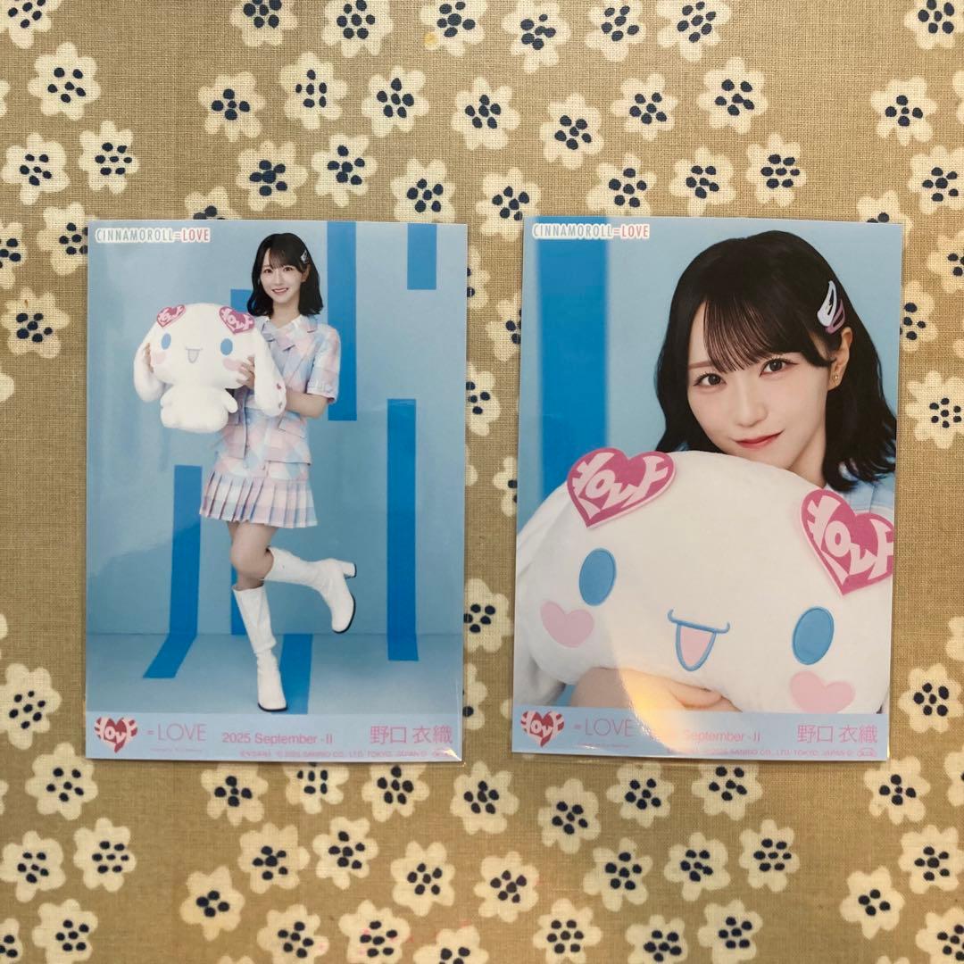 LOVE イコラブ 野口衣織 生写真 シナモン セミコンプ - メルカリ