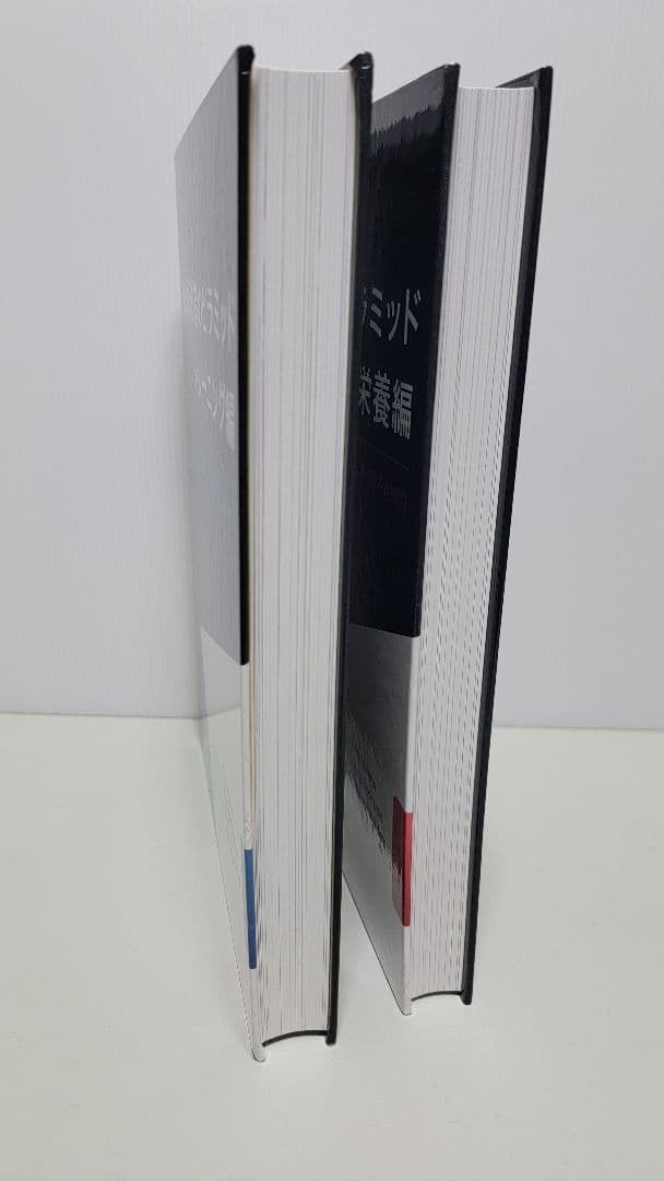 肉体改造のピラミッド 栄養編・トレーニング編2冊セット