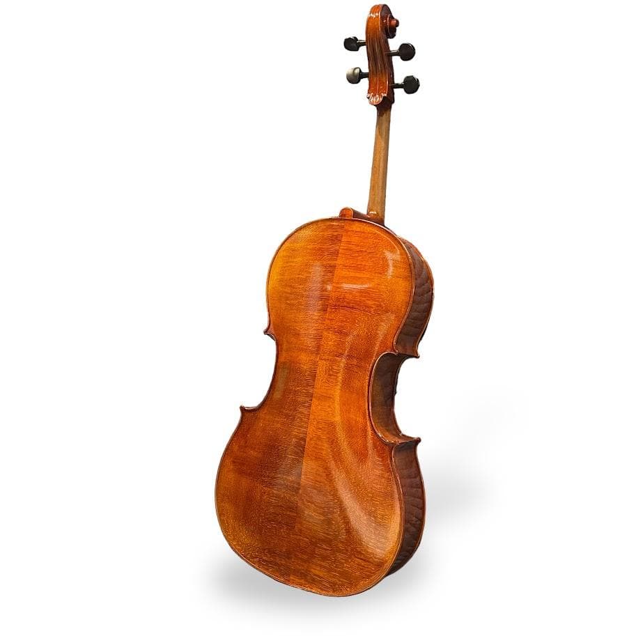 極美品○Buono PROFONDO○ 4/4 チェロ 美虎杢の高品質チェロ - メルカリ