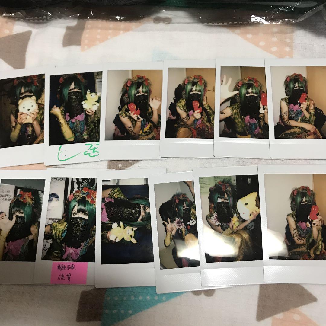 己龍 九条武政 セット売り