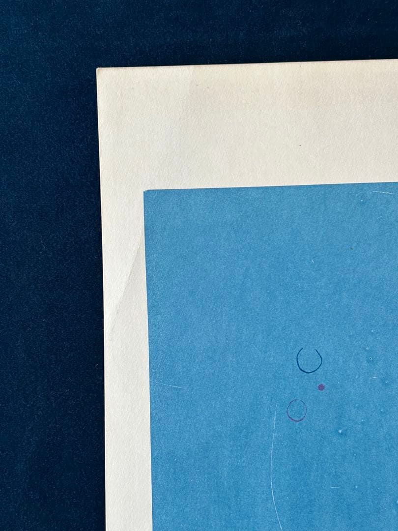 ワイルド・アフェア USオリジナル映画ポスター