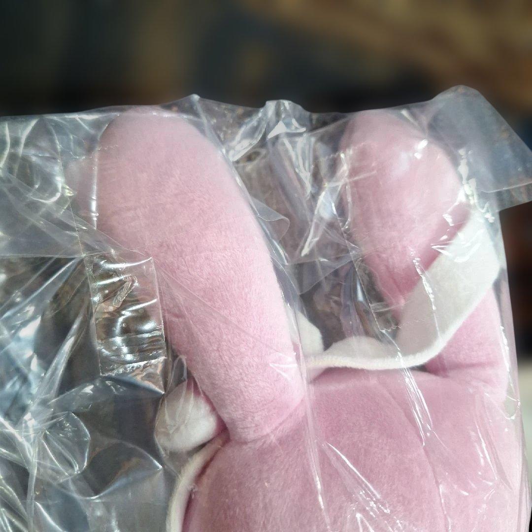 未開封　ポケモンセンター　ミックスオレ　ニンフィア　ぬいぐるみ