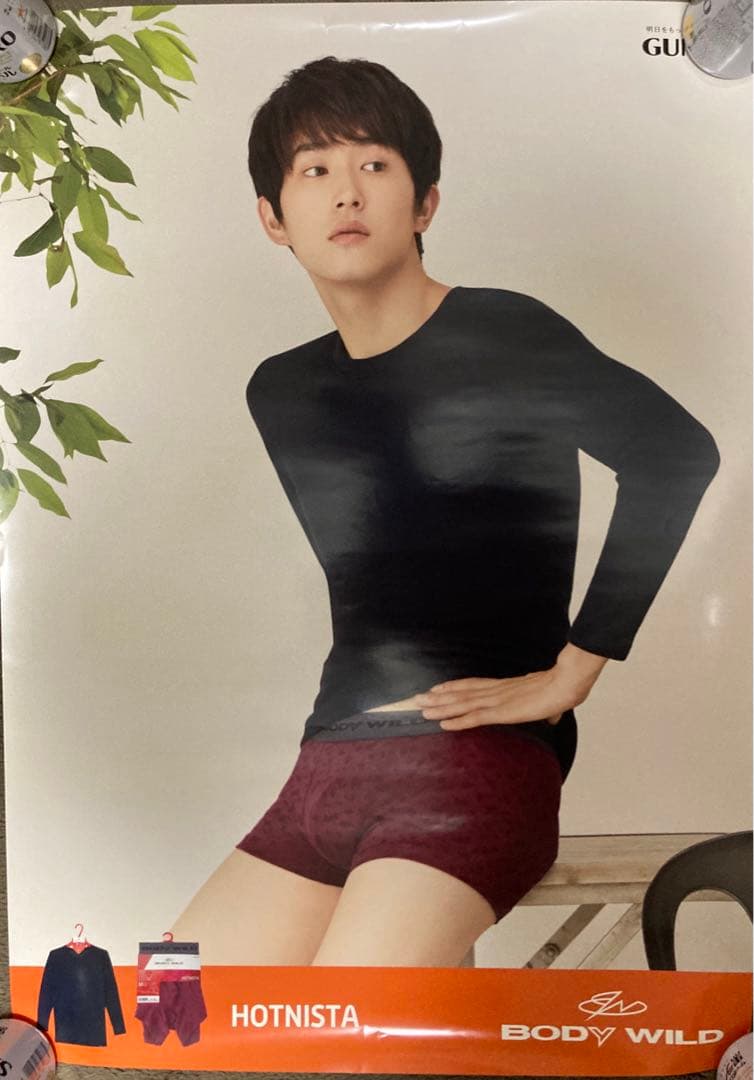 杉野遥亮 GUNZE BODY WILD 非売品ポスター10枚セット - メルカリ