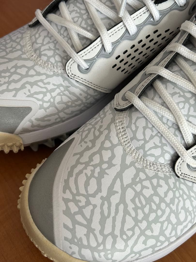 NIKE＊AIRJORDANTRAINER.G/AH7747-100/26㎝