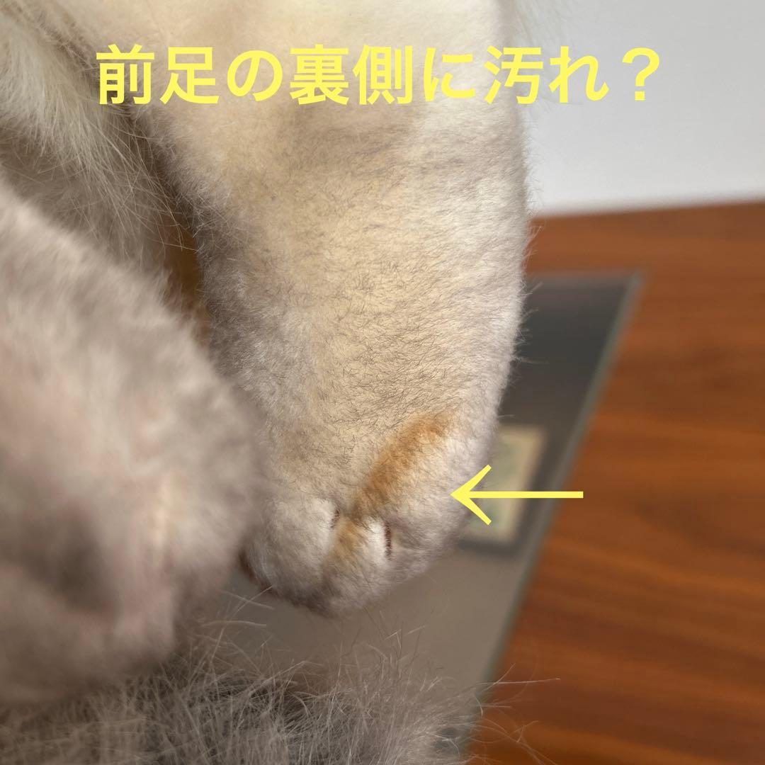 リアルな猫のぬいぐるみ　ヨシトク　YOSHITOKU ヒマラヤン　昭和レトロ