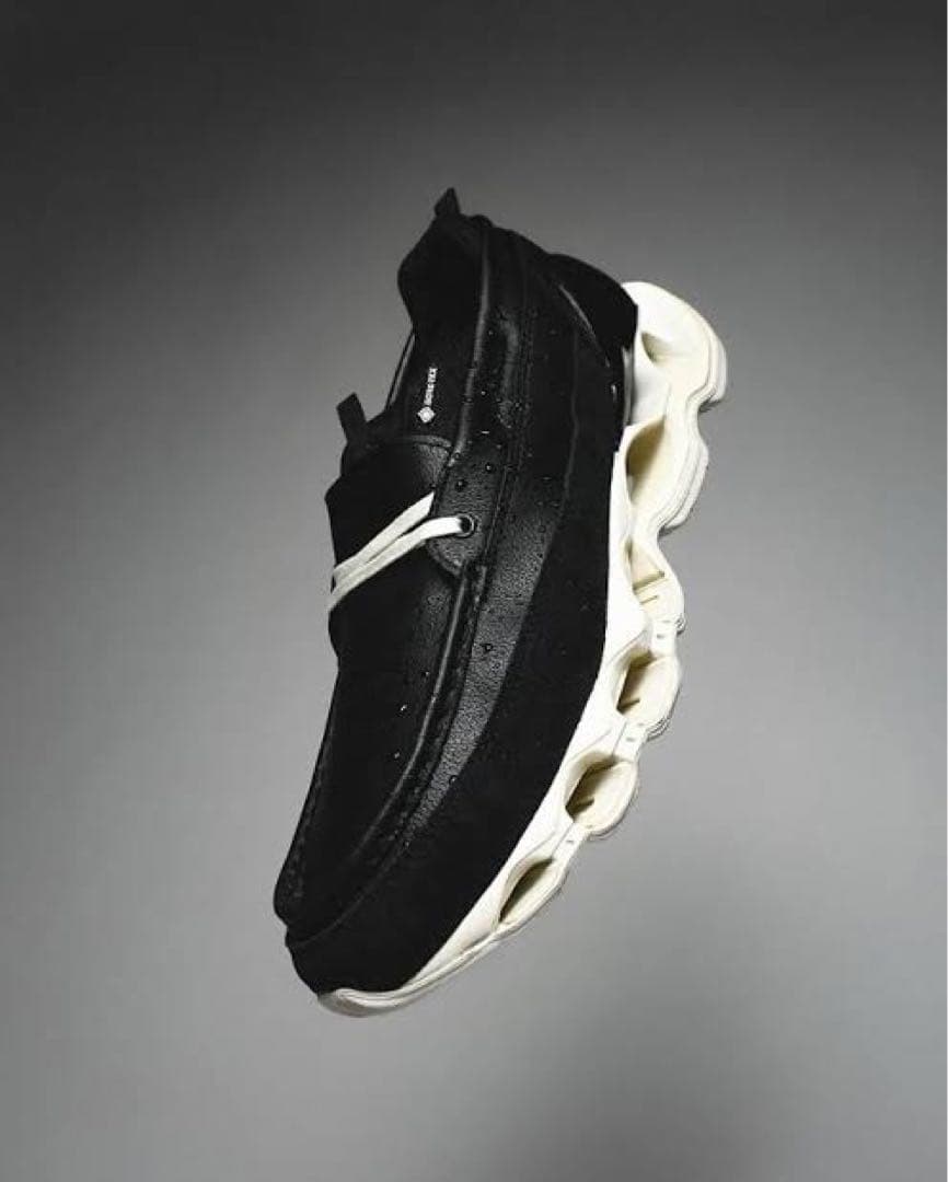 靴 28.0cm Mizuno Wave Prophecy Moc GORE-TEX