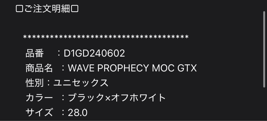 靴 28.0cm Mizuno Wave Prophecy Moc GORE-TEX