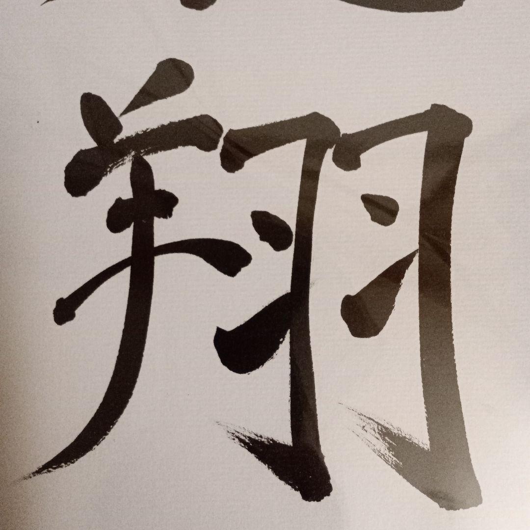 藤井聡太六冠 竜王位 直筆揮毫色紙 サイン 飛翔 永世竜王 日本将棋連盟