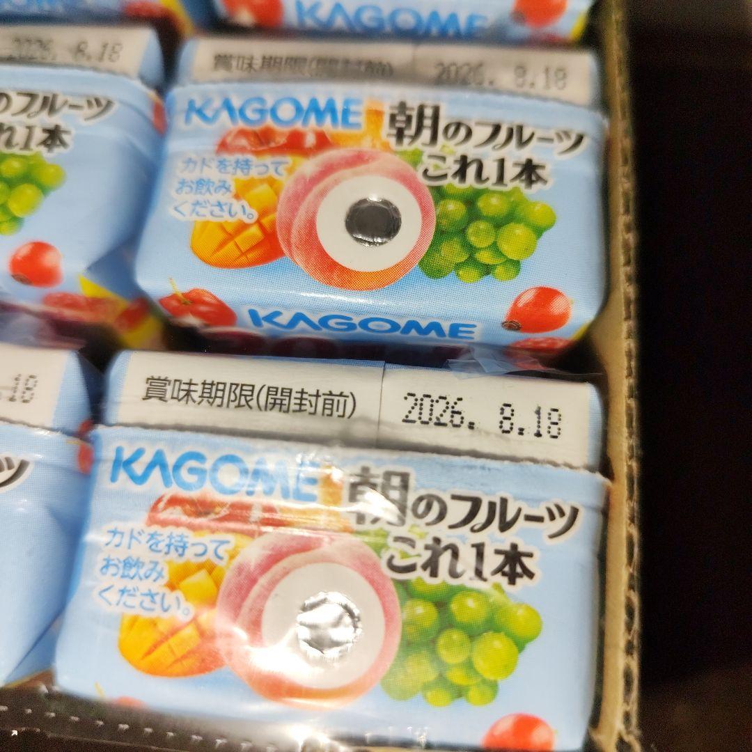 新春お年玉福箱【レジかごバッグ】