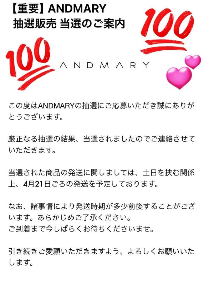 andmary Nadia check swimsuit 新品未使用