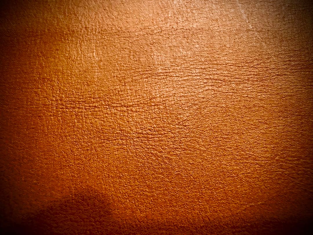 2月SALE品！Pvt.Workshop 極 本革 デッキケース キャメル