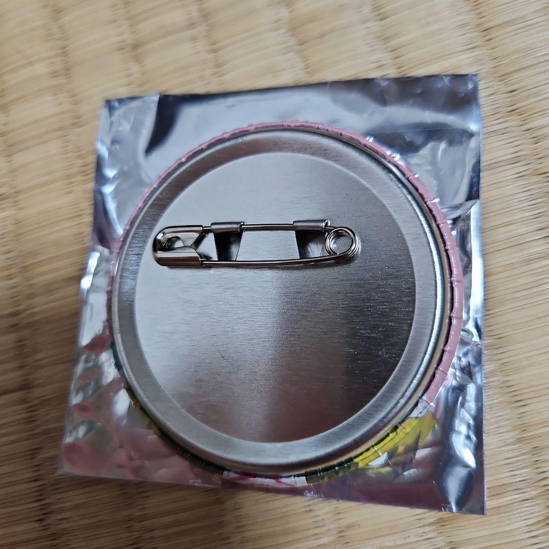 らんま 1/2 缶バッジ 原作絵 乱馬 あかね シャンプー ヴィレヴァン