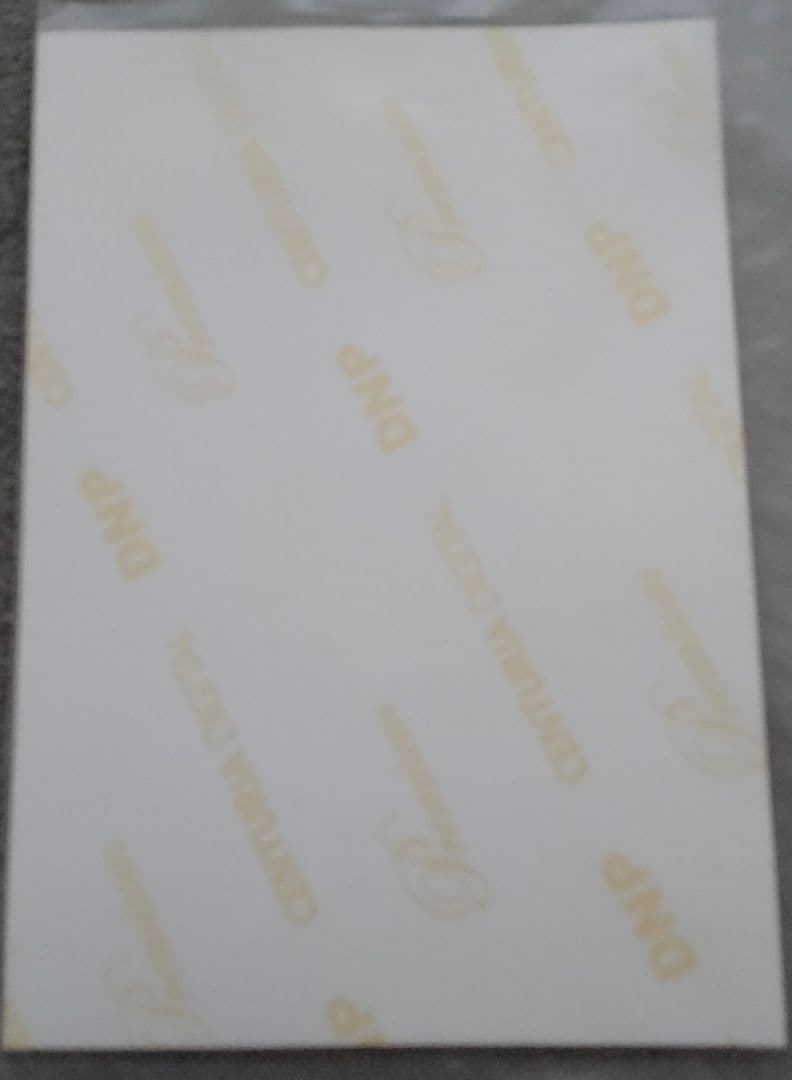 増田有華　1830m　生写真　AKB48　チームB　非売品　特典　希少　入手困難