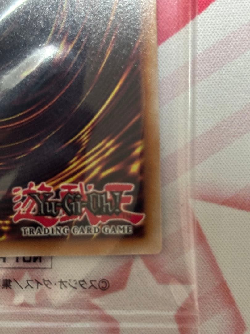 2025年　日本選手権　優勝プロモ　未開封