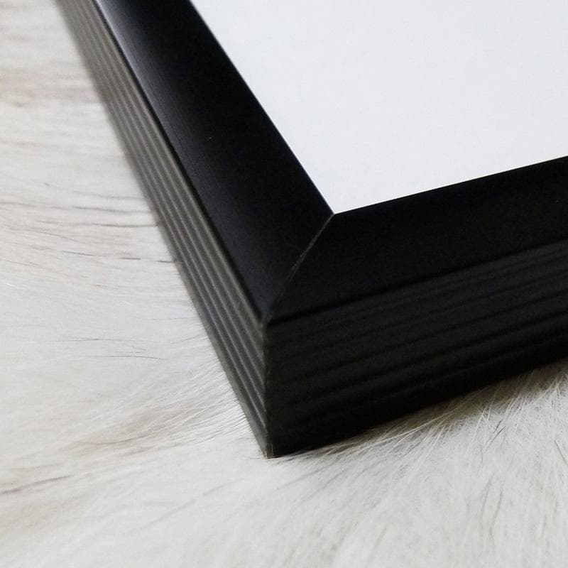 額装品/Sunglasses サマーピクニック 2005/ハーマンミラー