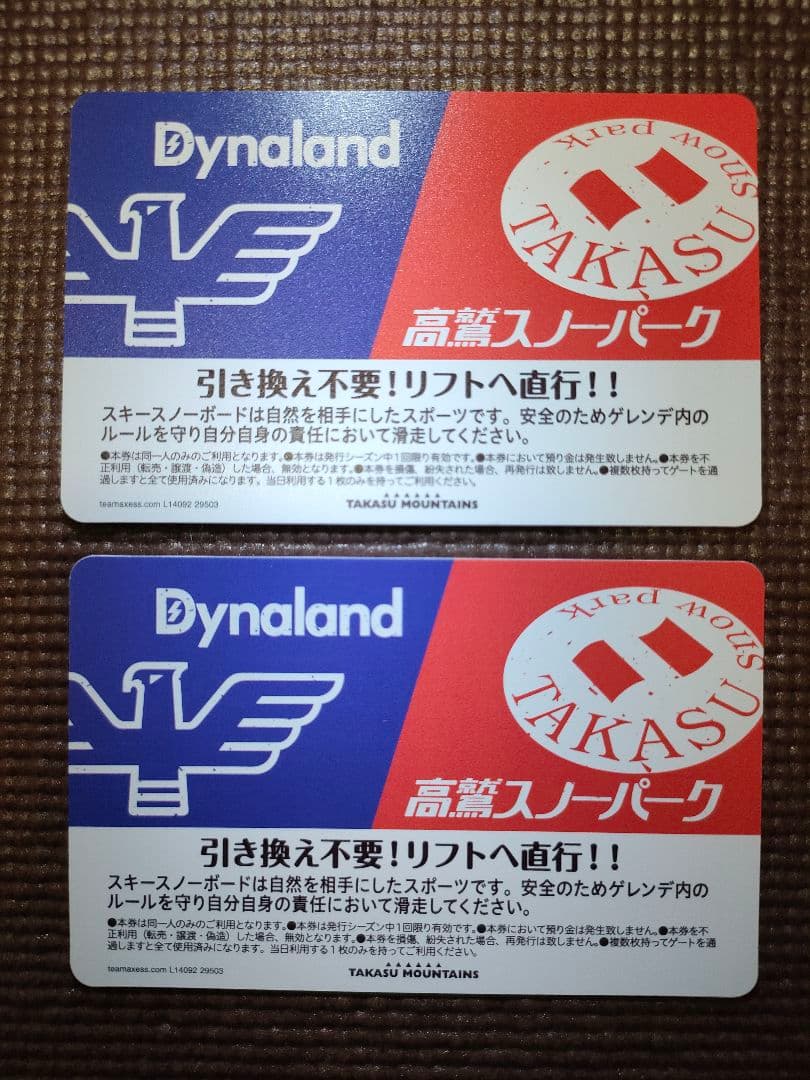 高鷲スノーパーク・ダイナランド 共通1日リフト券【大人2枚】 - メルカリ