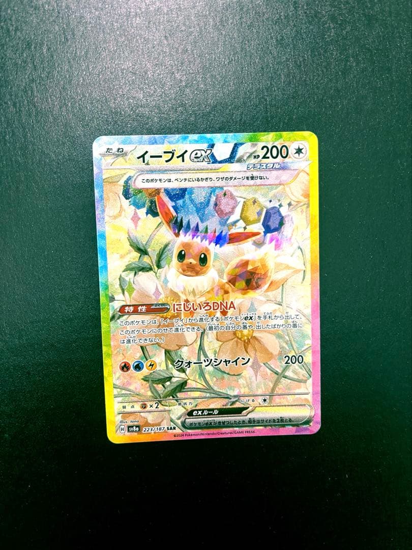 テラスタルフェスex ブイズSAR10枚セット