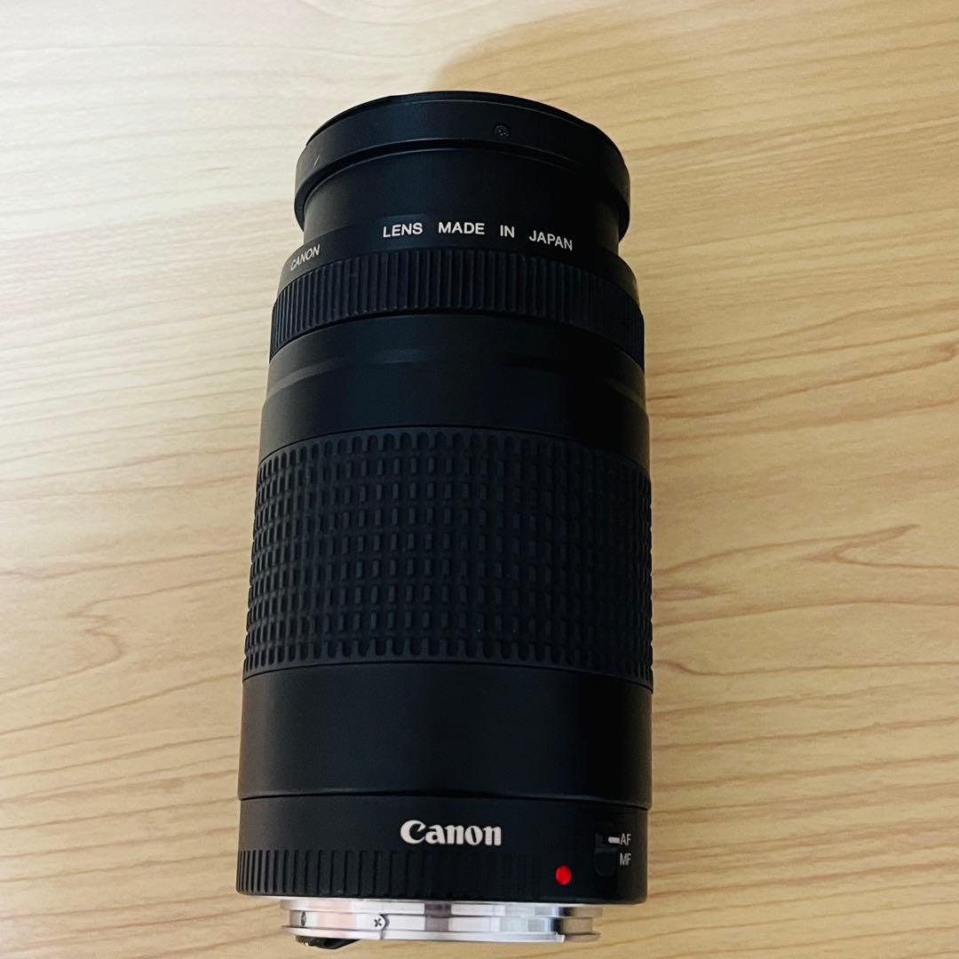 Canon EF 75-300mm f/4-5.6 ズームレンズ ①