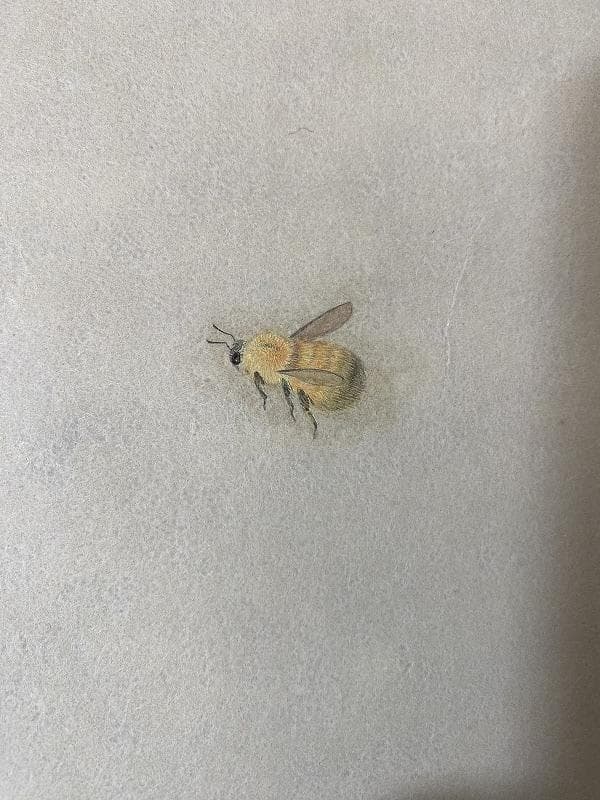 日本画】美術品｜杉本使聖｜出雲大神宮｜子宝恵｜運気良 - メルカリ