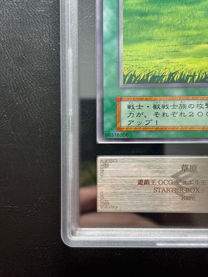 【世界1枚　ARS10+】草原 レア 初期 字レア