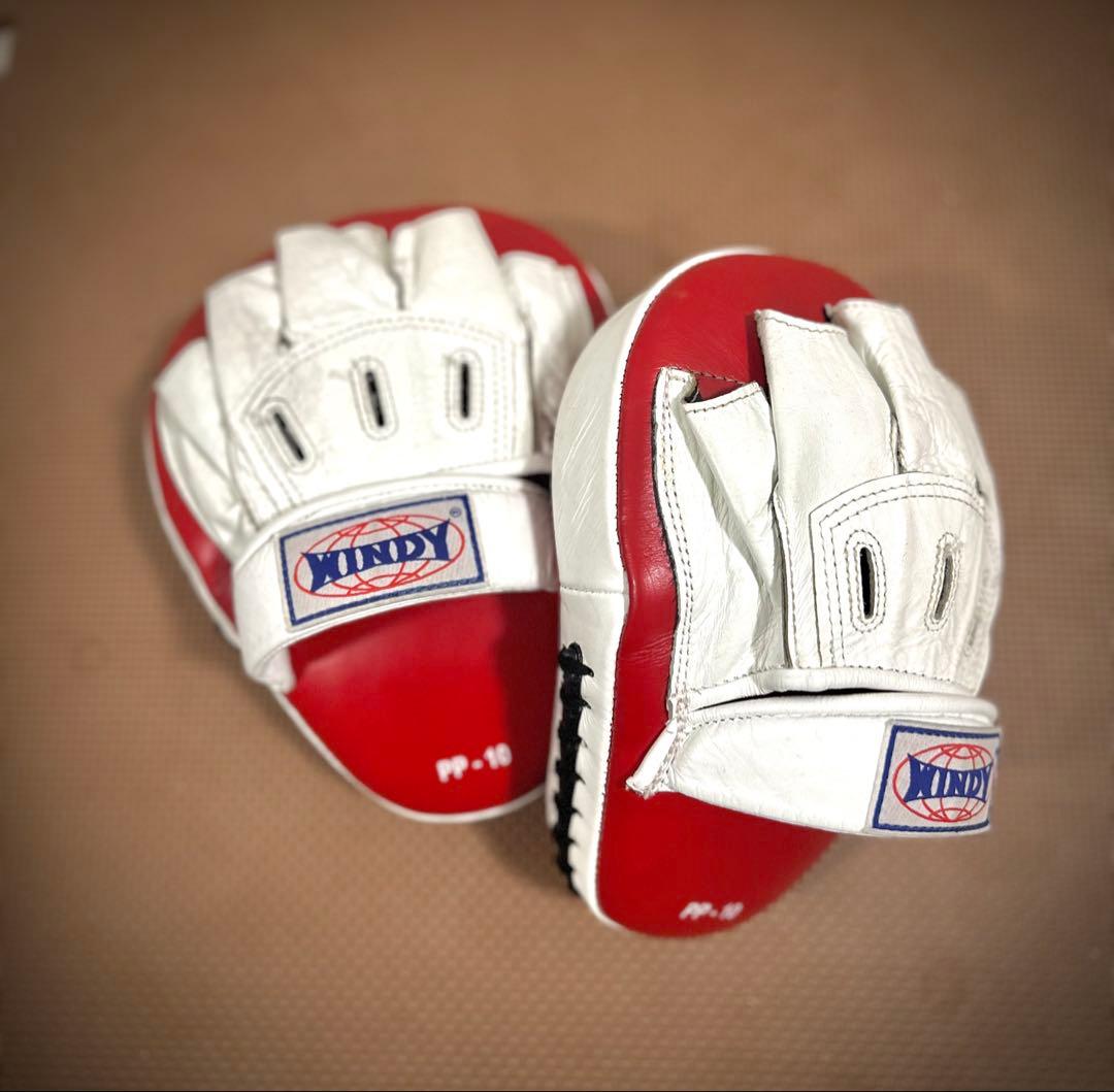 世界J・ウェルター級タイトルマッチ浜田剛史 vs レネ・アルレトンド パンフ