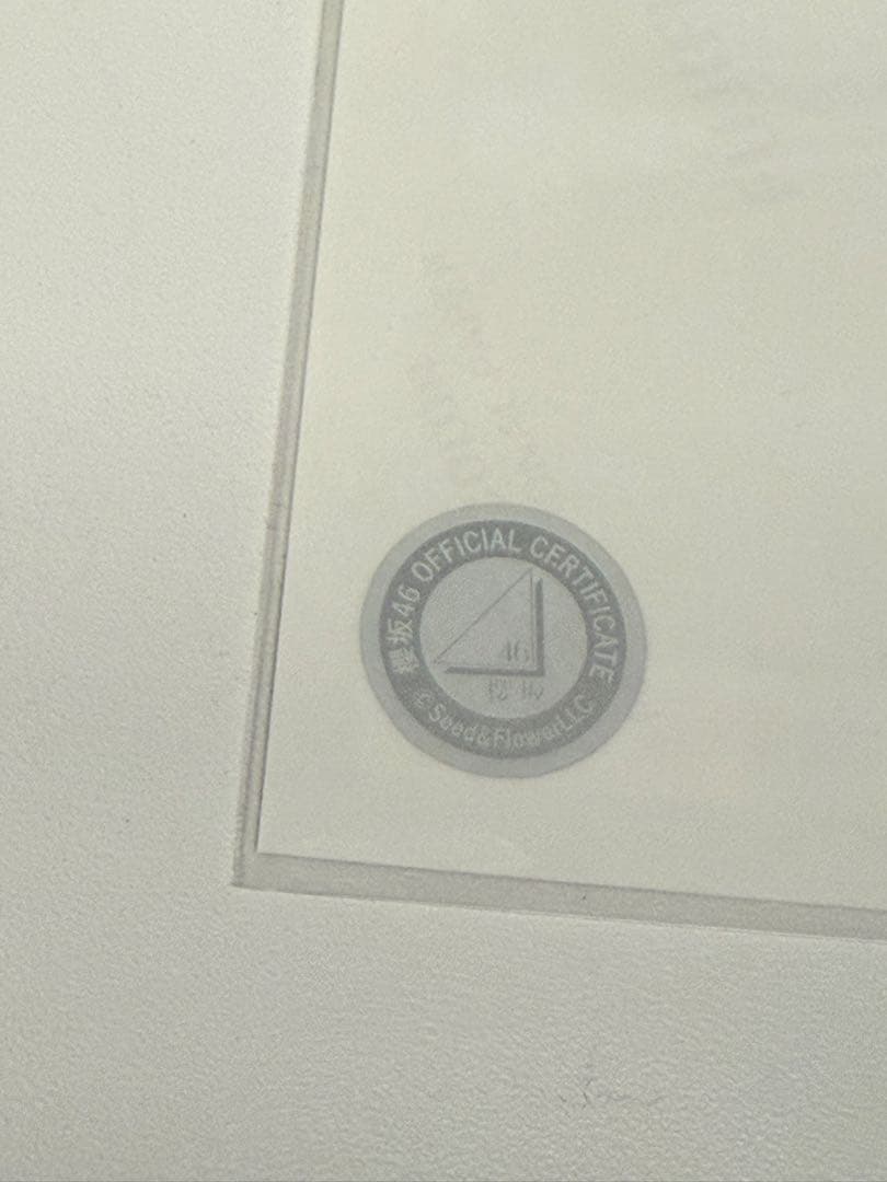 櫻坂46 生写真 ANNIVERSARY ライブ衣装　直筆サイン　幸阪茉里乃