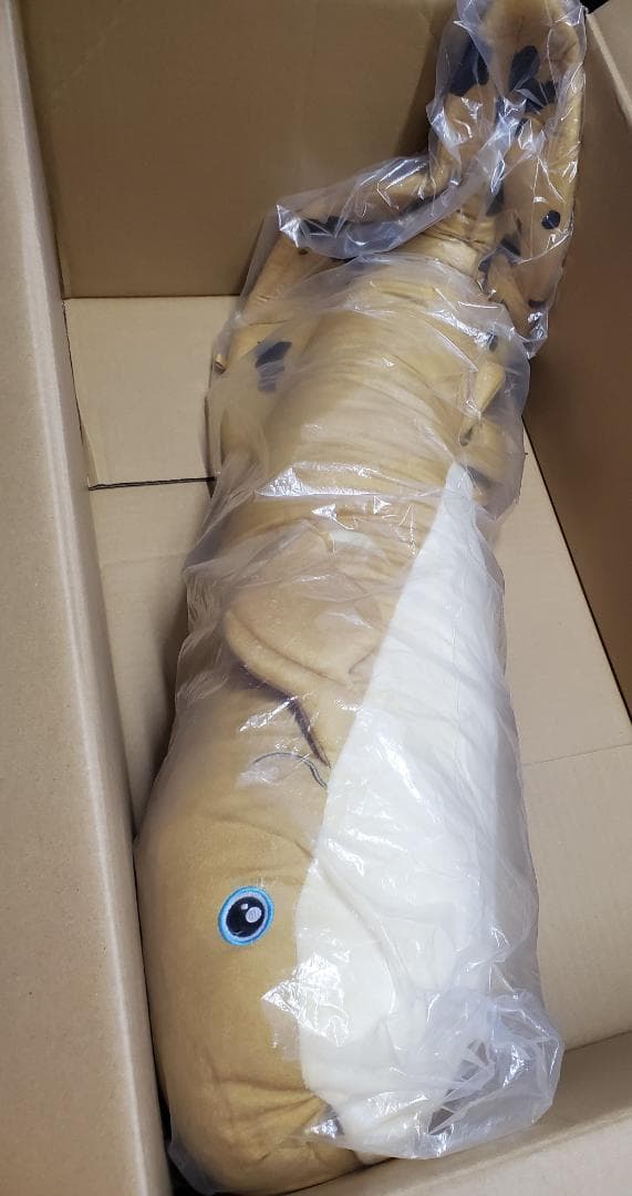 キョーリン でかキュン抱きぐるみ　ネオケラトドゥス