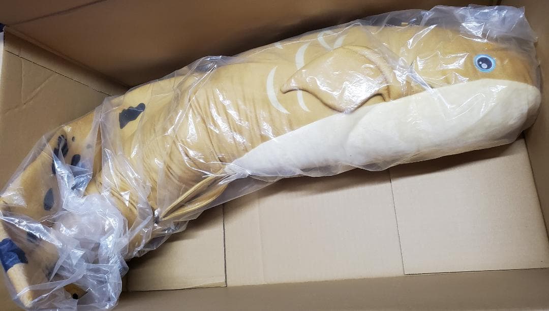 キョーリン でかキュン抱きぐるみ　ネオケラトドゥス