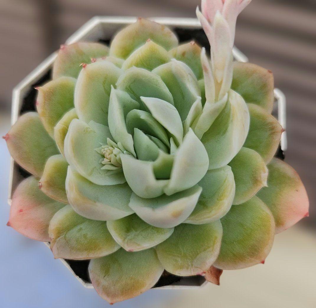 sato ☻︎様 リクエスト 4点 まとめ商品 - メルカリ