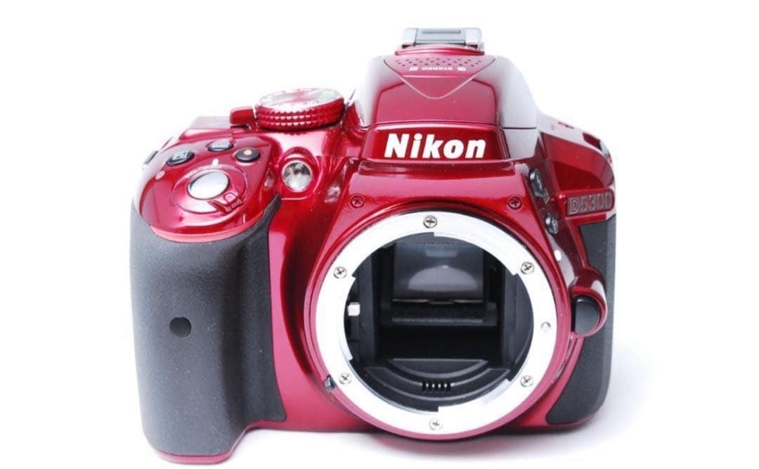 新品級】Nikon D5300 Wレンズ Wi-Fi転送可能 人気のレッド‼ 新品級】