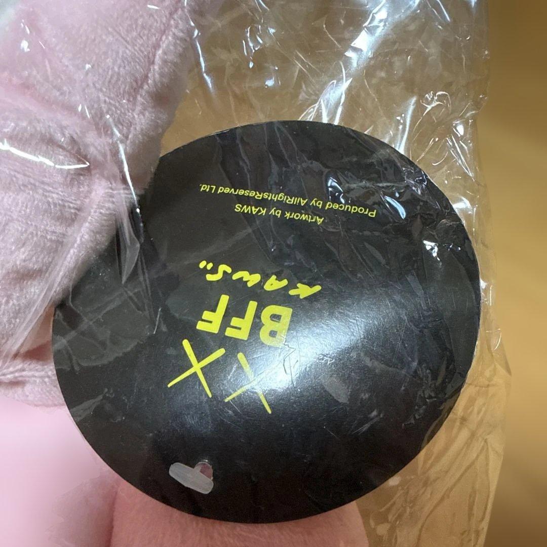 KAWS Seeing KAWS BFF ぬいぐるみ