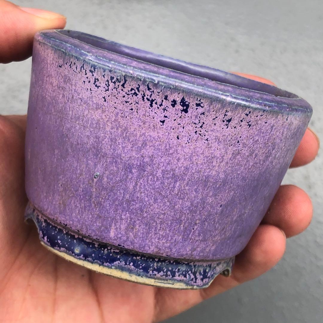 391.峯生 丸鉢3点 盆栽鉢 植木鉢 8*5.5cm