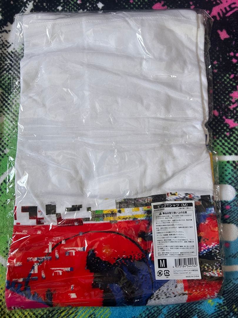 2017 WORLD TOUR actⅢ motte ビッグTシャツ