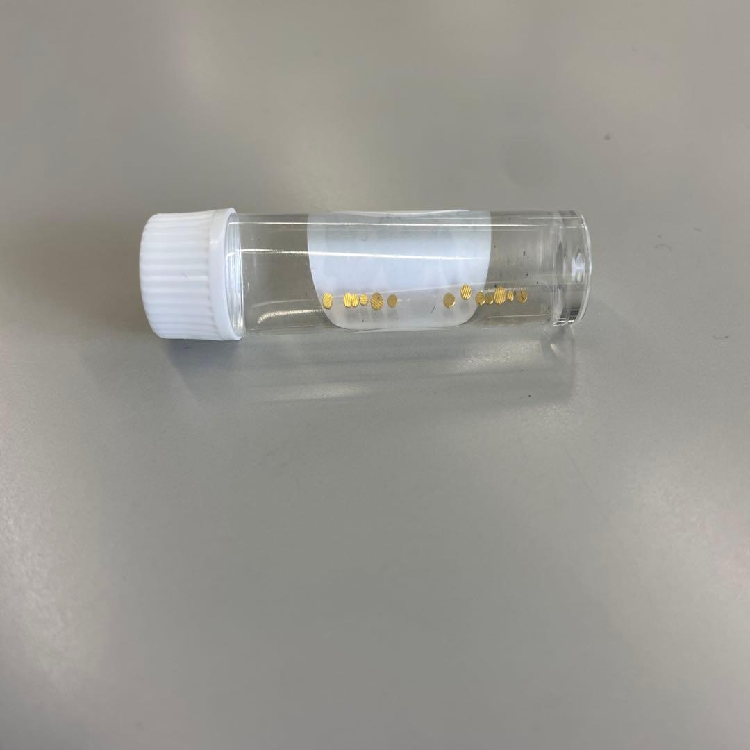 土肥金山 砂金 13粒 - メルカリ