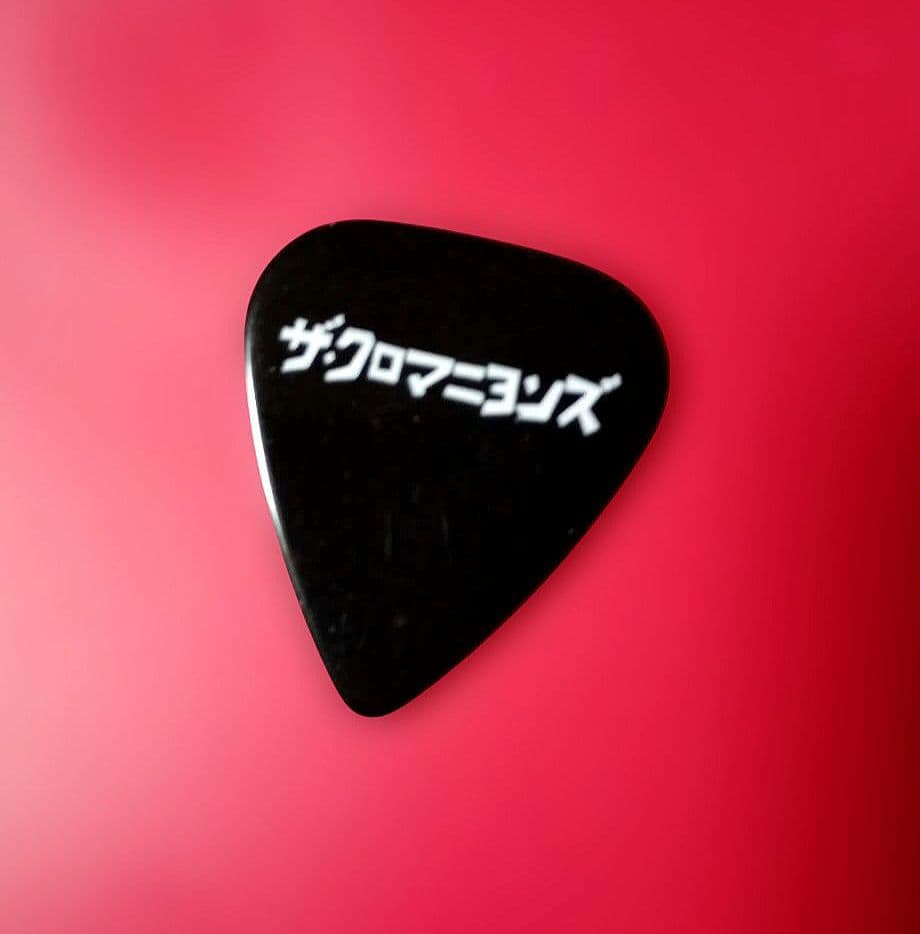 ✨直筆サイン写真＆ピックSET✨【クロマニヨンズ】FIRE AGE 甲本ヒロト