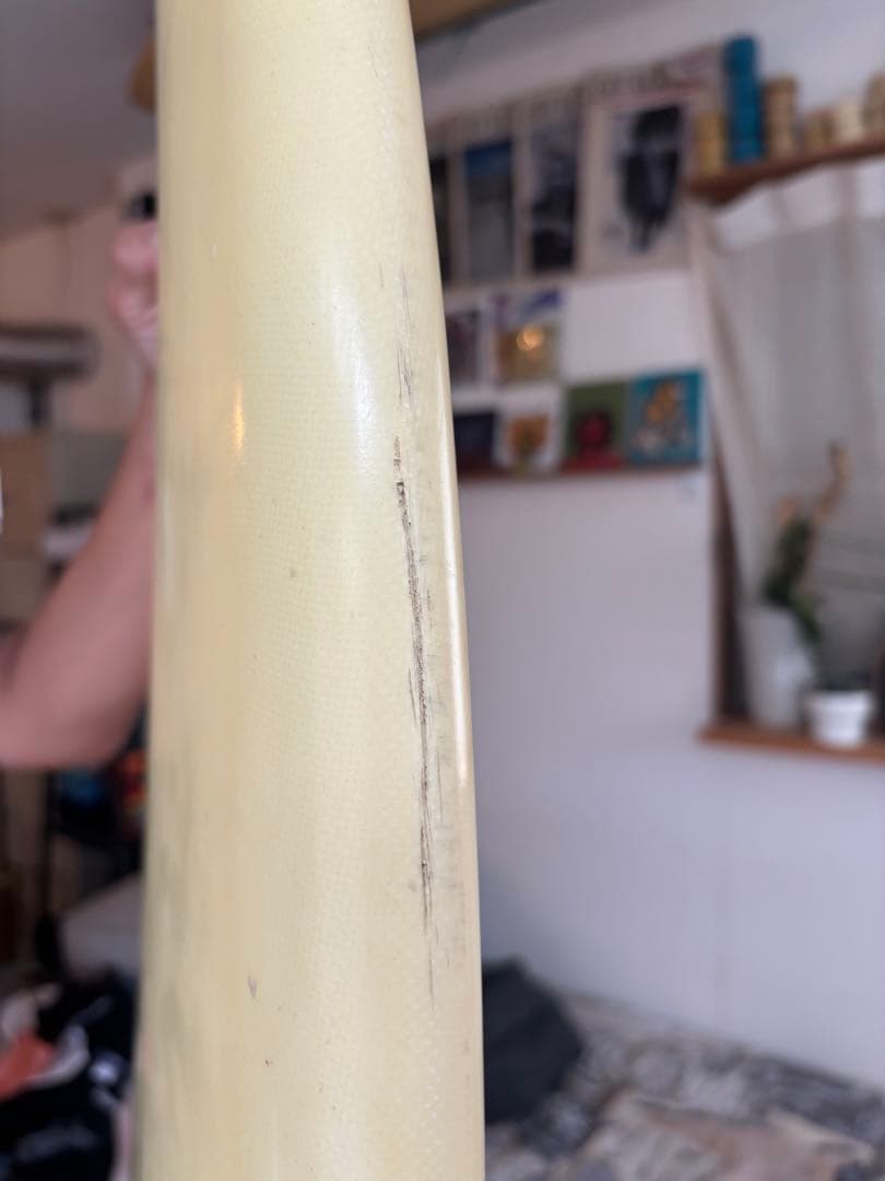 Album Surf × Polyphonic 6'1 アルバム 湘南