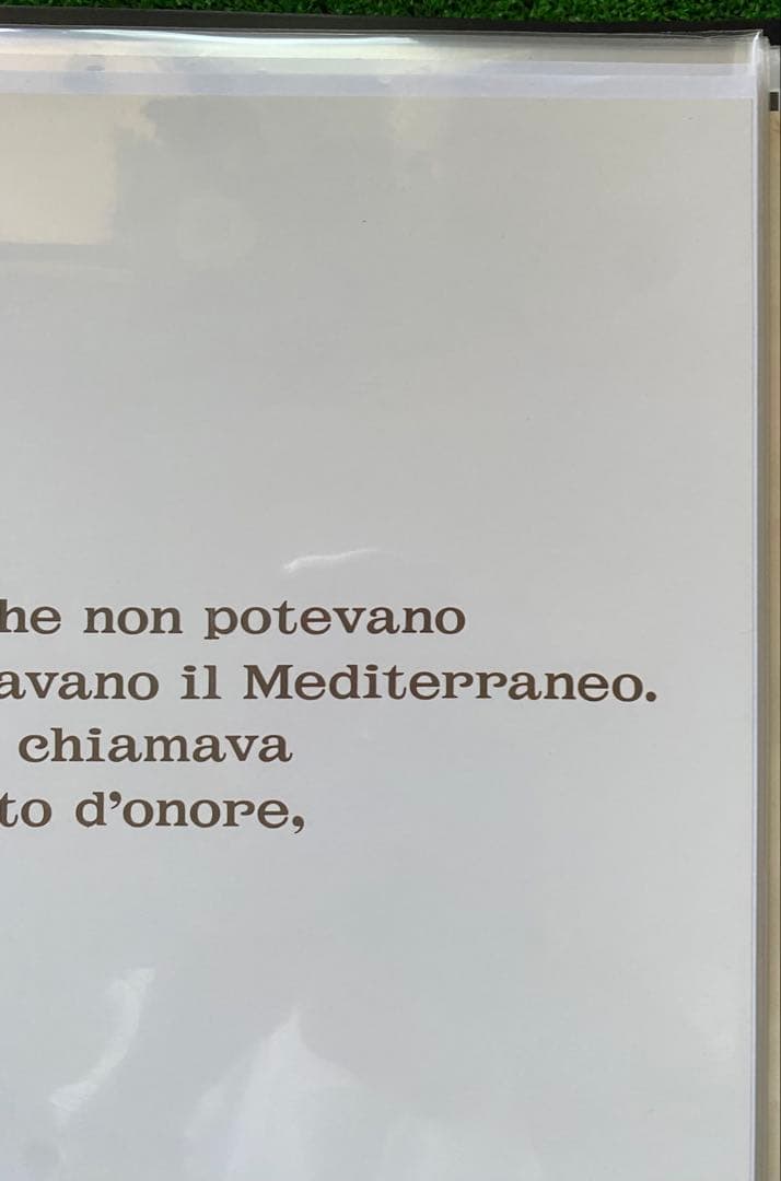 激レア】紅の豚 ジーナver ポスター ジブリ 宮崎駿 B2サイズ - メルカリ