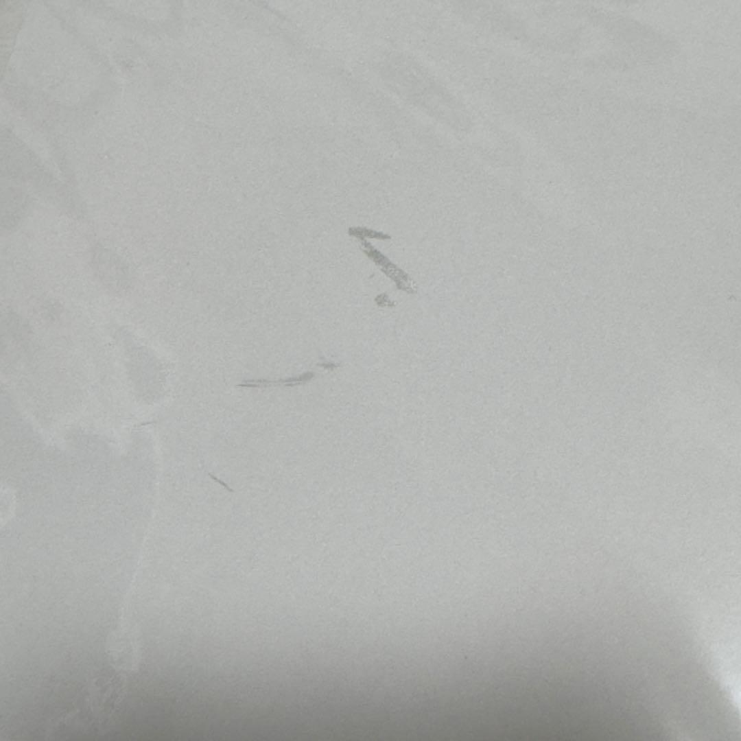 StrayKids サイン入りミニポスター MANIAC