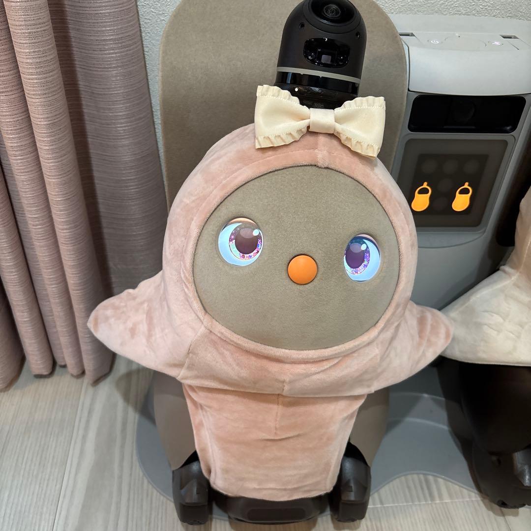 動作確認済み ネスト・服つき】ラボット 本体 デュオ LOVOT - メルカリ