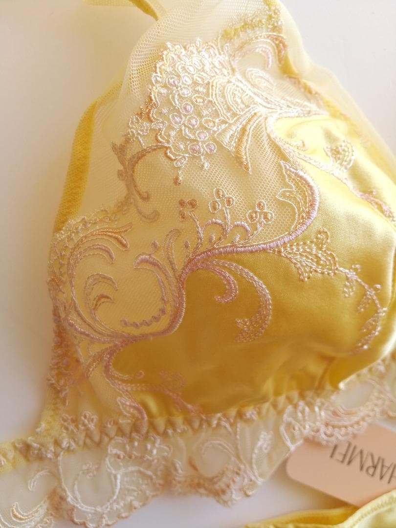 専用＊SALE＊《リズシャルメル》Splendeur Soie　ブラセット