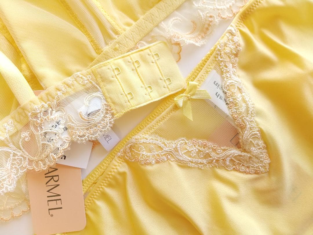 専用＊SALE＊《リズシャルメル》Splendeur Soie　ブラセット