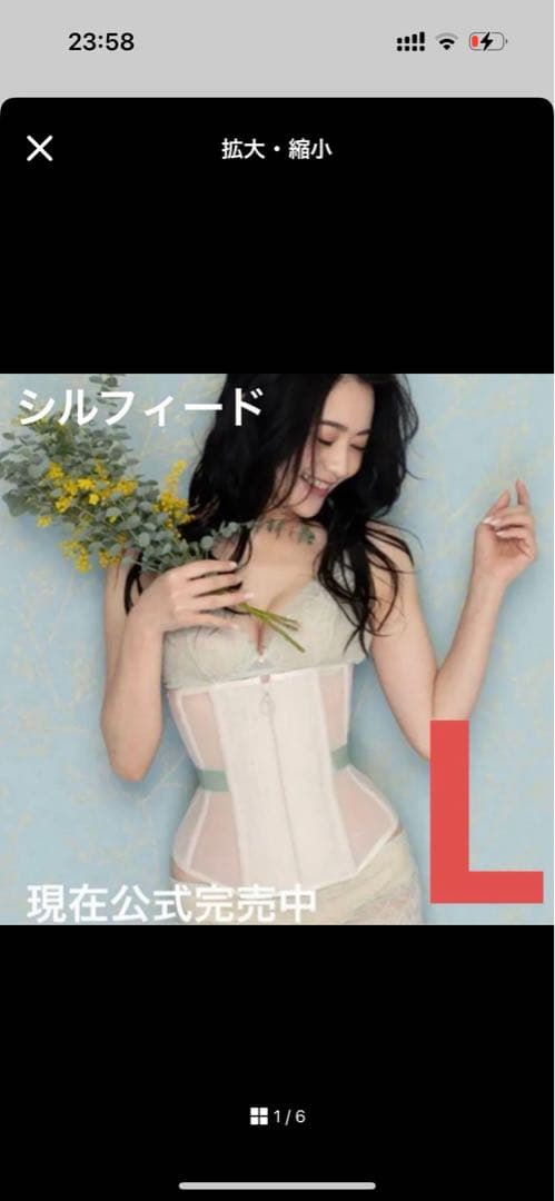 元鈴木さんコルセット シルフィード Lサイズ ミモザグリーン 土日限定 楽天市場】【ふるさと納税】新色登場 ！ 日本製 コルセット