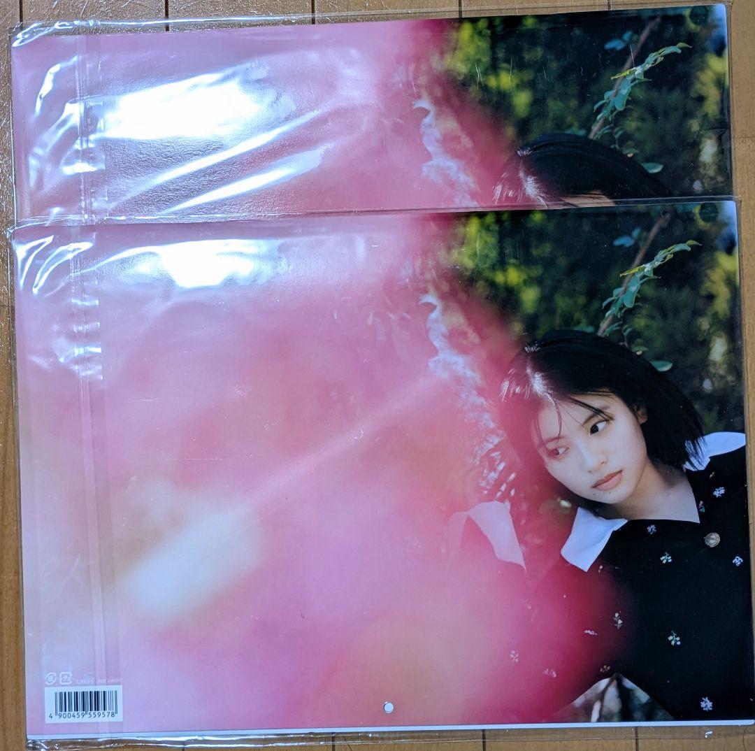 出口夏希 直筆 サイン 2026 カレンダー 2冊 セット