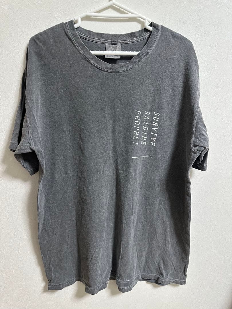 Survive Said The Prophet サバプロ グッズ CD まとめ