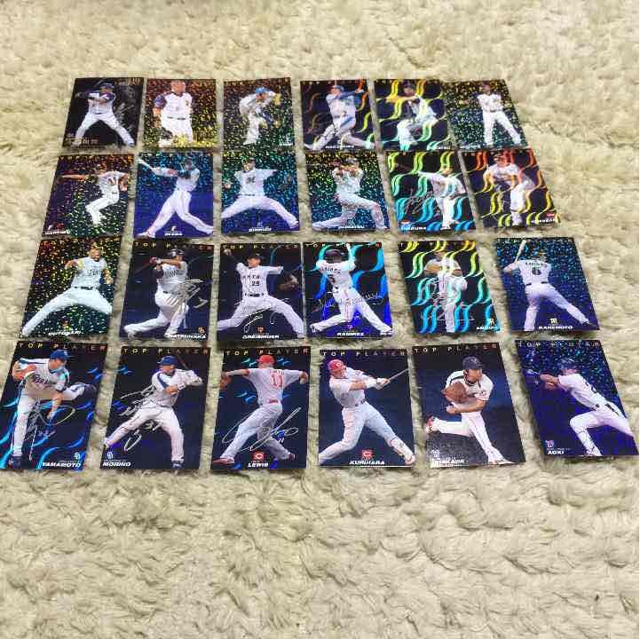 プロ野球チップス2009.2010年カードセット プロ野球チップスカード '10レギュラーカード 中日 英智 - メルカリ